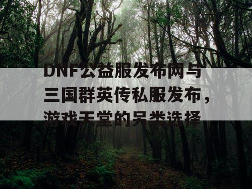 DNF公益服发布网与三国群英传私服发布，游戏天堂的另类选择