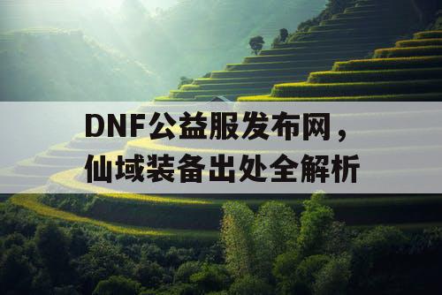 DNF公益服发布网，仙域装备出处全解析