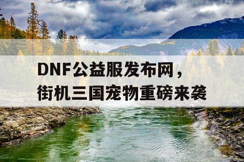 DNF公益服发布网，街机三国宠物重磅来袭