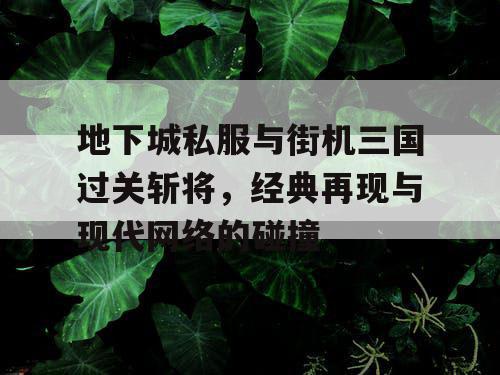 地下城私服与街机三国过关斩将，经典再现与现代网络的碰撞