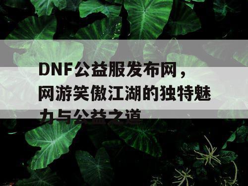 DNF公益服发布网，网游笑傲江湖的独特魅力与公益之道