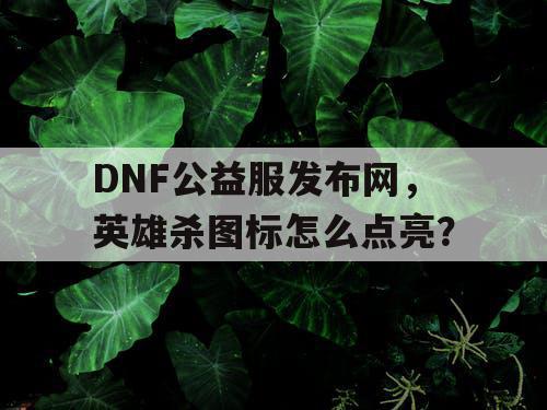 DNF公益服发布网，英雄杀图标怎么点亮？