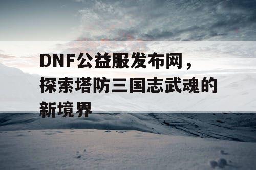 DNF公益服发布网，探索塔防三国志武魂的新境界