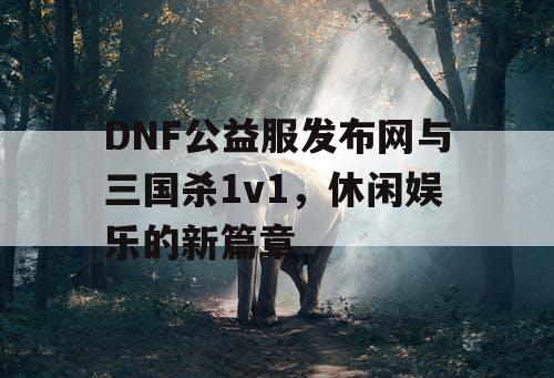 DNF公益服发布网与三国杀1v1，休闲娱乐的新篇章