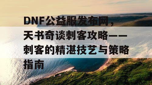 DNF公益服发布网，天书奇谈刺客攻略——刺客的精湛技艺与策略指南