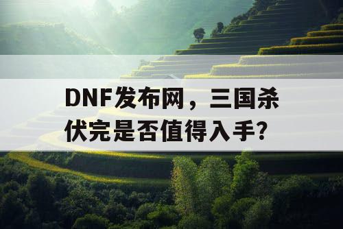 DNF发布网，三国杀伏完是否值得入手？