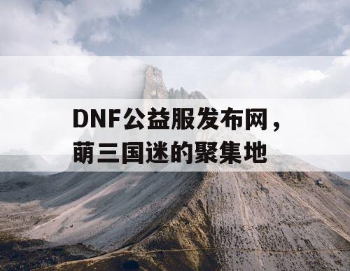 DNF公益服发布网，萌三国迷的聚集地