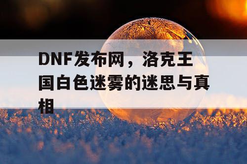 DNF发布网，洛克王国白色迷雾的迷思与真相